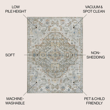 Shaemus Bohemian Medallion Low-Pile Machine-Washable Area Rug